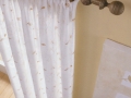 Scan 5